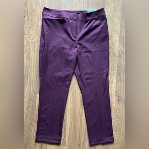 Ann Taylor Wine Colored Ankle Skinny Dress Pants - Size 14